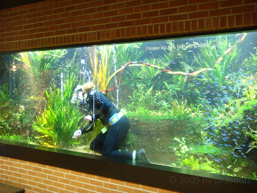 Baltimore [2009 July 02] 068.JPG - Scenes from Baltimore's Inner Harbor.